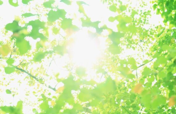 浅草で深夜まで営業している出張整体「手もみ家」で腰痛解消！！